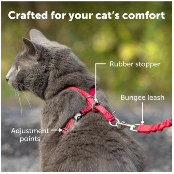 PetSafe Come With Me Kitty™ Harness Set - 2 Bungee Leashes, 4 Collar, 1 Harness - Picture 4 of 7